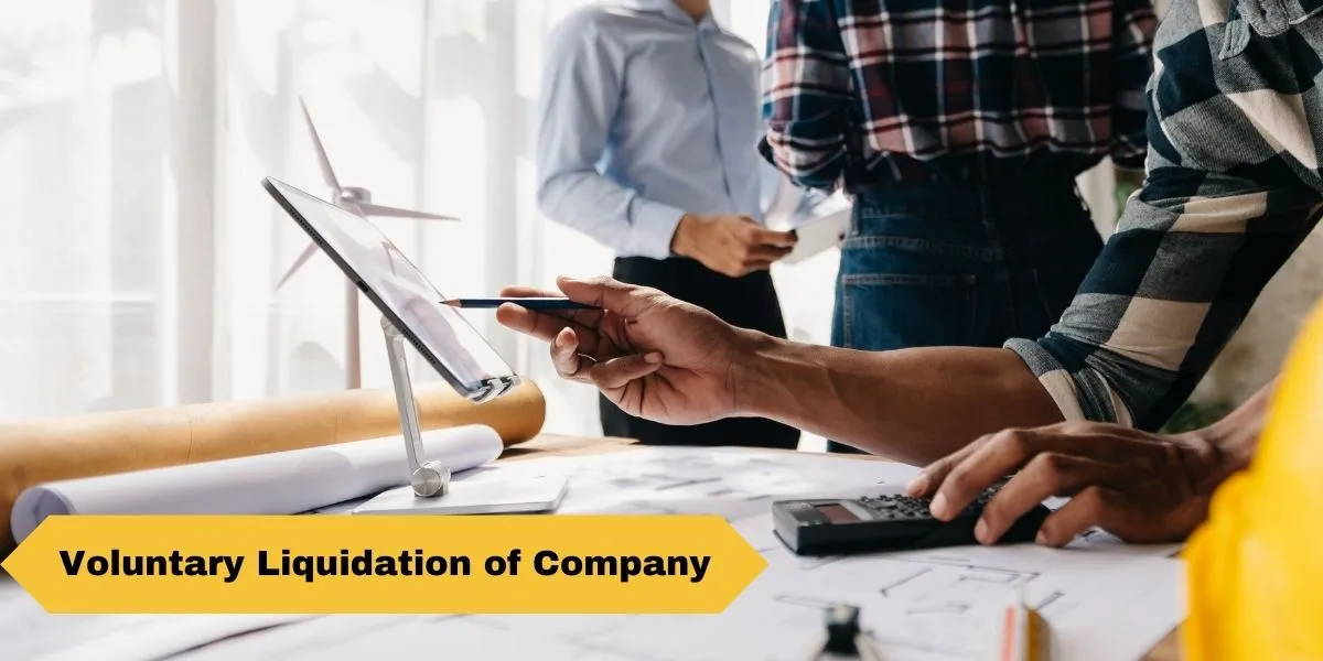 Voluntary Liquidation of Company: Conditions and Process of Winding Up a Company 