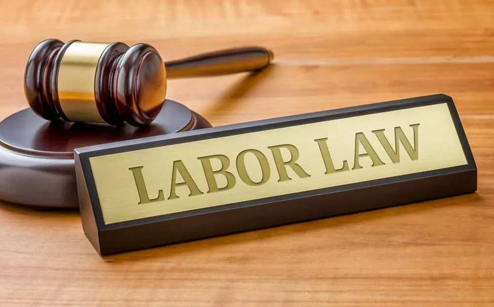 Labour Law ESI PF Consultant Mysuru