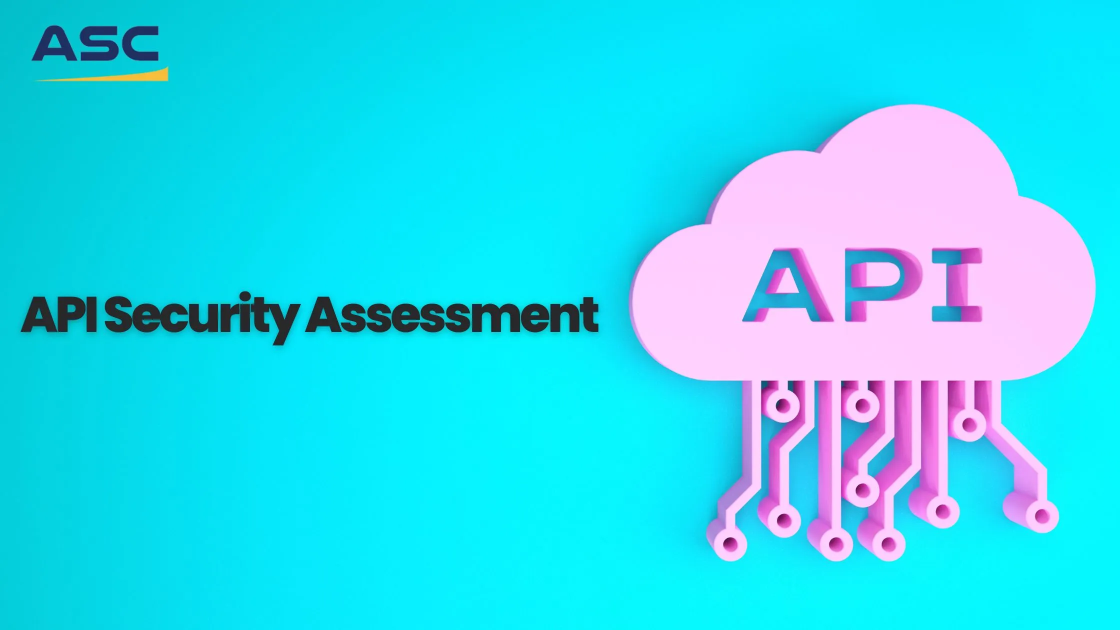 API Security Assessment