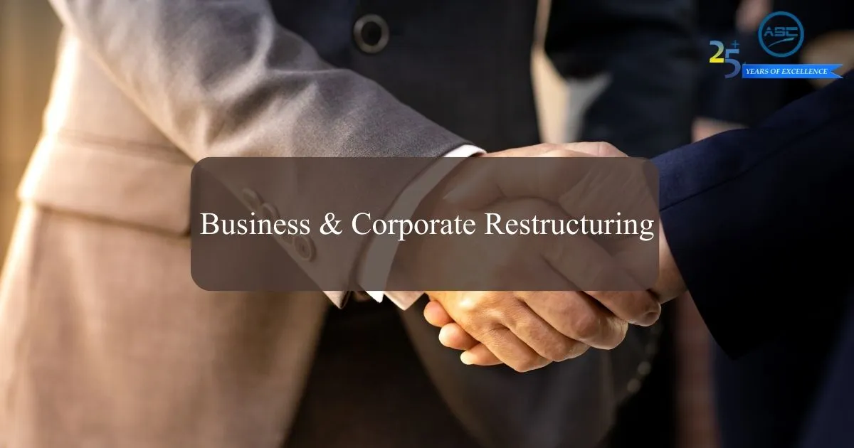 Business & Corporate Restructuring Service Consulting Firm