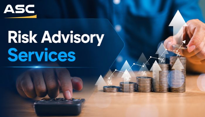 Risk Advisory Professional Services