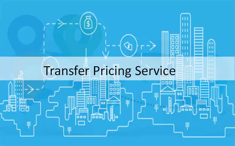 Domestic & International Transfer Pricing Services & Methods