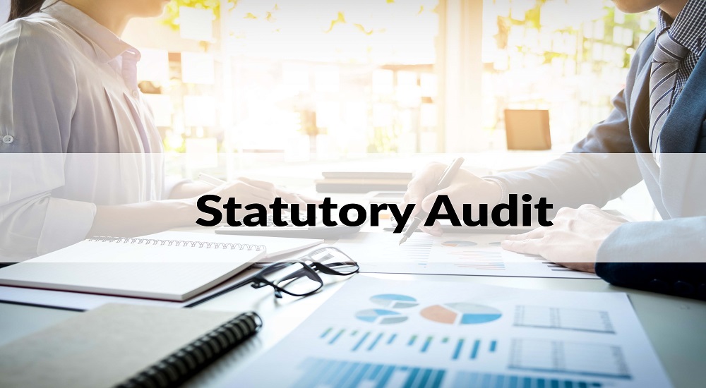 Statutory Financial Auditing Services Statutory Audit Consulting